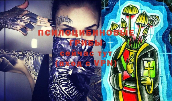 прущие грибы Елизово