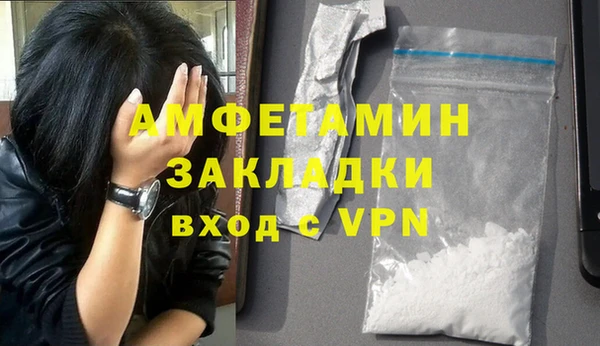 прущие грибы Елизово