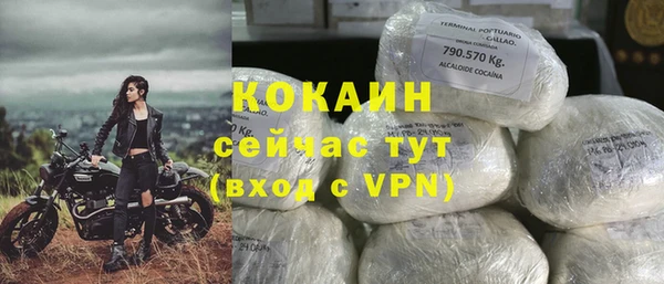 индика Заводоуковск