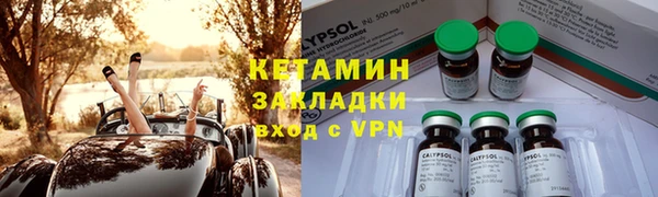 индика Заводоуковск