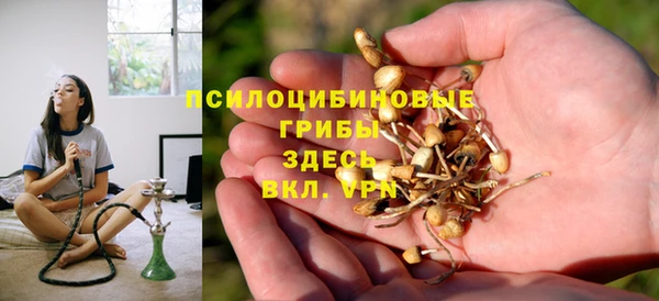 экстази Рославль